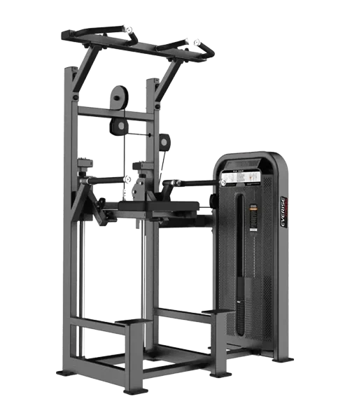 Dip and Chin Assist | Counterweight-Assisted Dip and Pull-Up Station