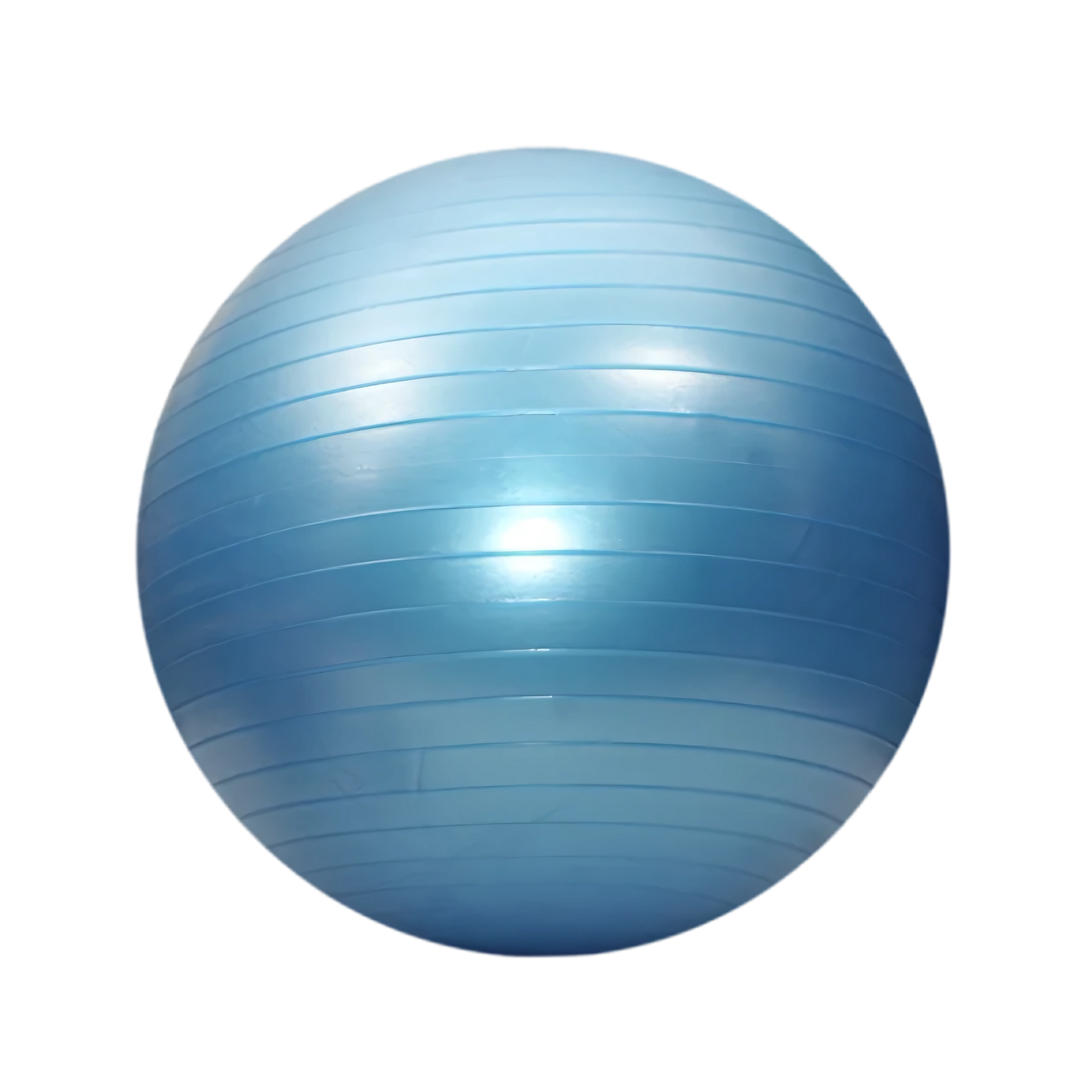 EXERCISE BALL / GYM BALL