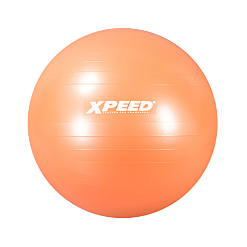 XPEED XP-1206 EXERCISE GYM BALL