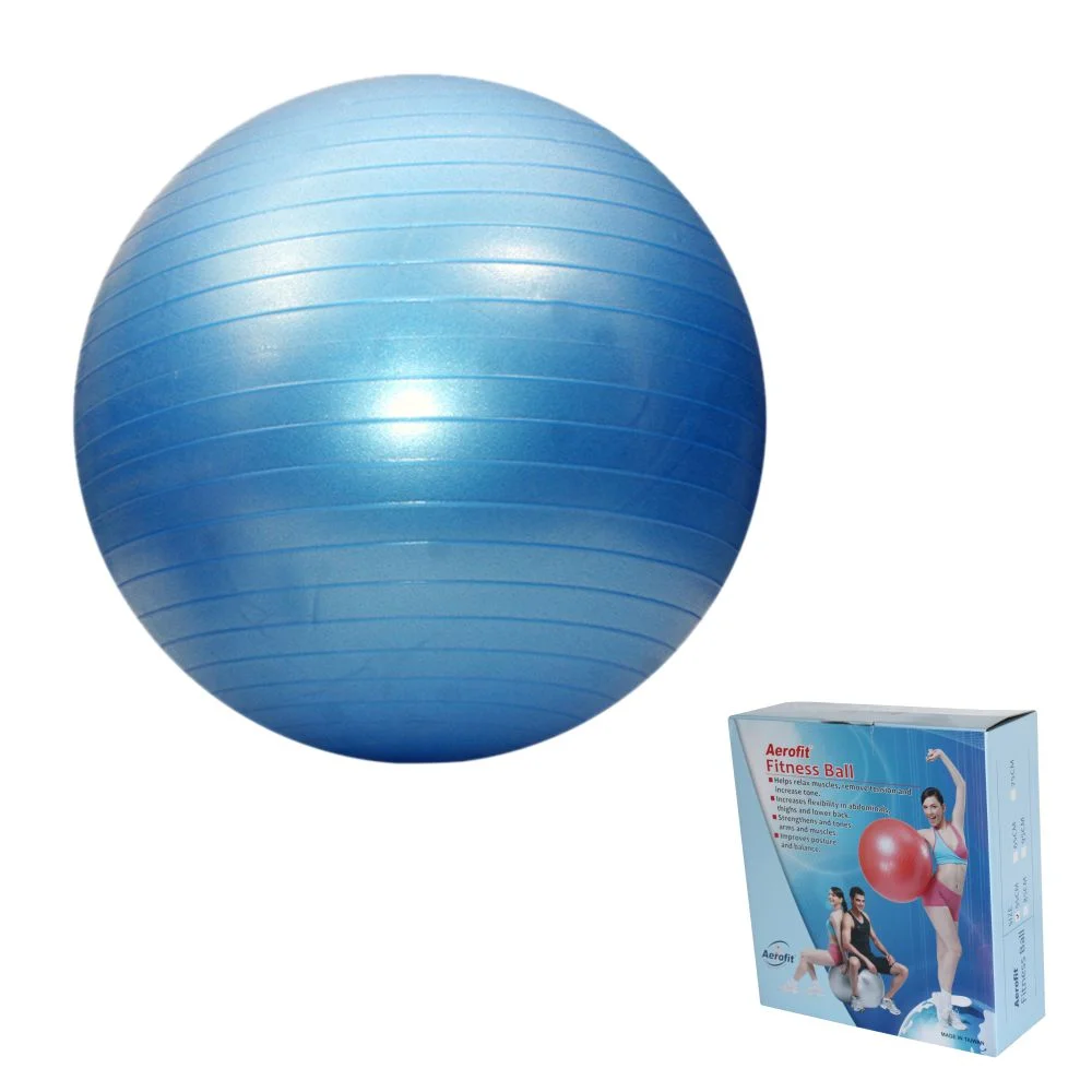 EXERCISE BALL / GYM BALL - Image 2